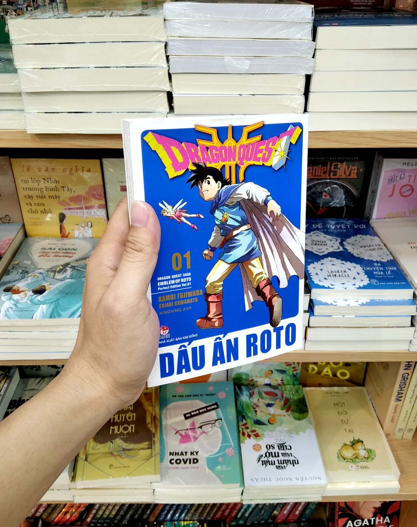 Review Truyện Dấu Ấn Roto Trong Dragon Quest